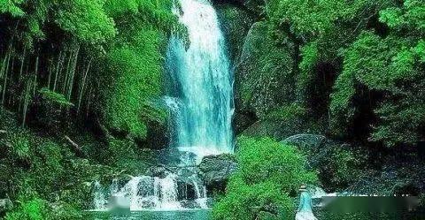 沪江开心词场